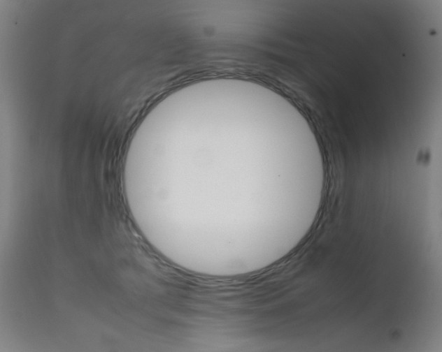 X0000112090417200908041053