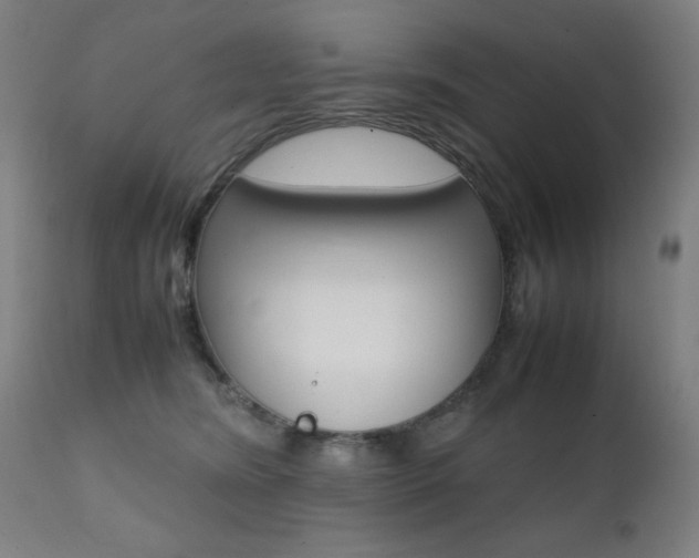 X0000112090420200908041053