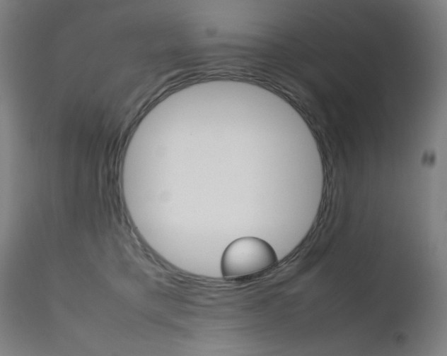 X0000112090421200908041053