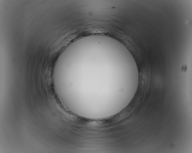 X0000112090422200908041053