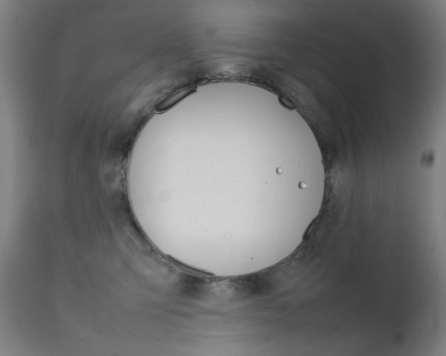 X0000112090423200908041053