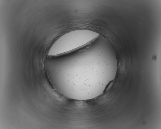 X0000112090424200908041053