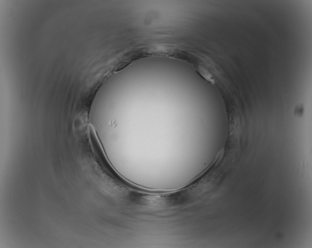 X0000112090425200908041053