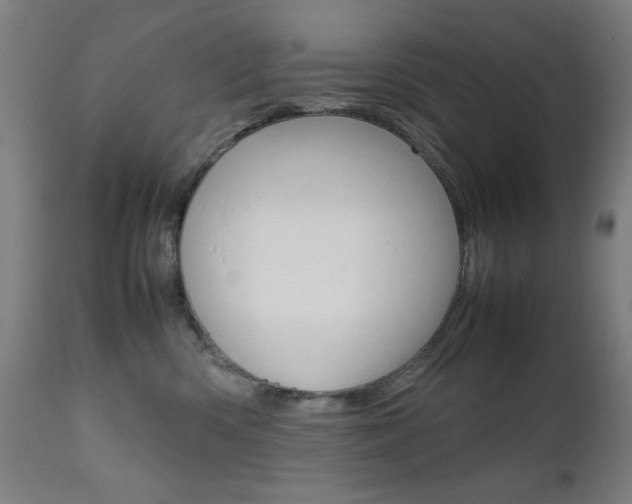 X0000112090426200908041053