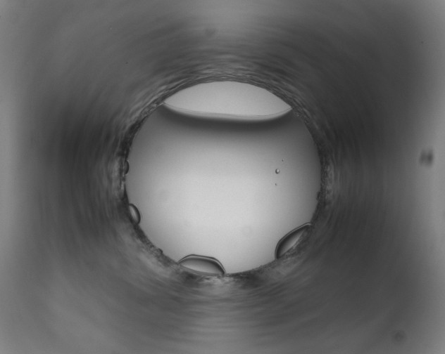 X0000112090428200908041053