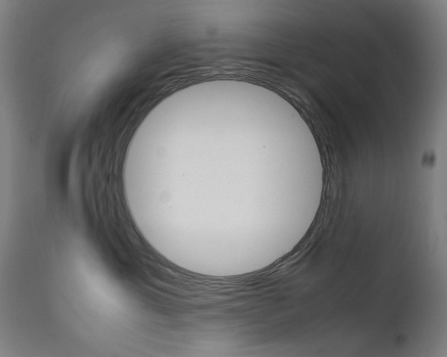 X0000112090429200908041053