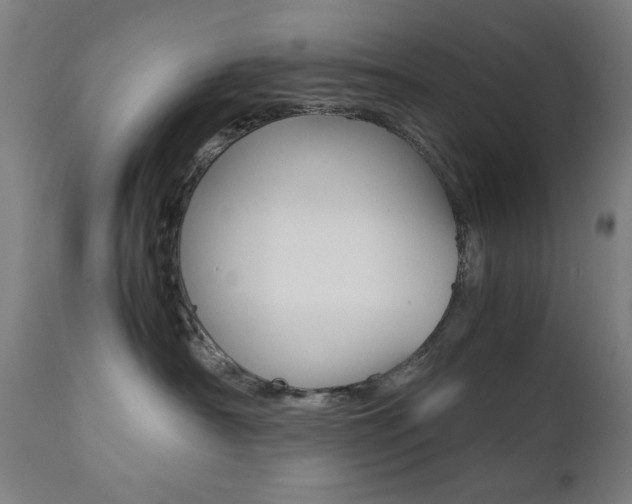 X0000112090430200908041052