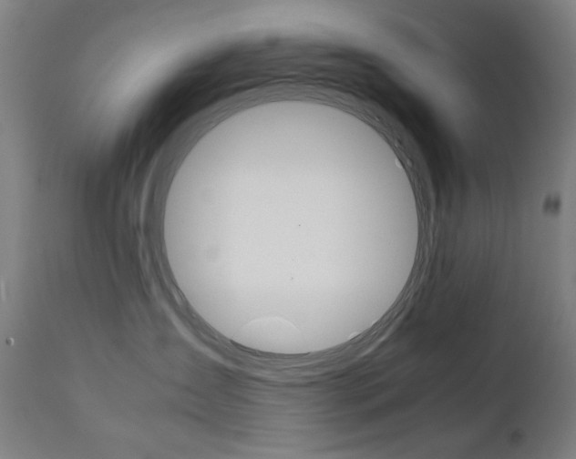 X0000112090431200908041052