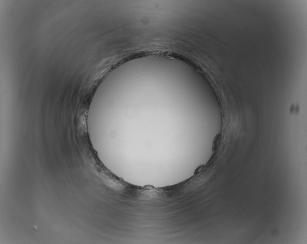 X0000112090432200908041052
