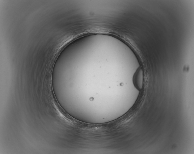 X0000112090433200908041052