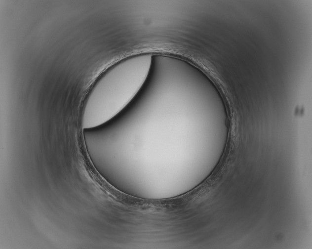 X0000112090434200908041052