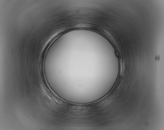 X0000112090435200908041052