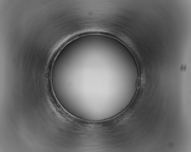 X0000112090436200908041052