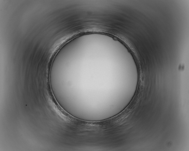 X0000112090437200908041052