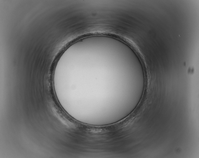 X0000112090439200908041052