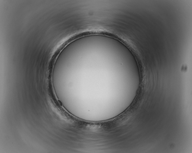 X0000112090440200908041052