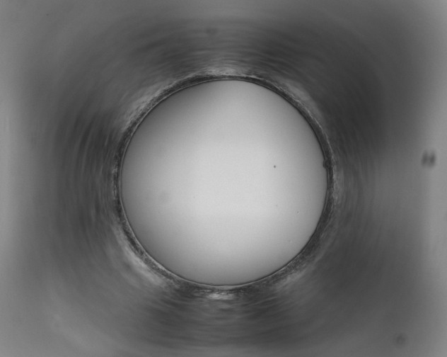 X0000112090441200908041052