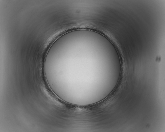 X0000112090442200908041052