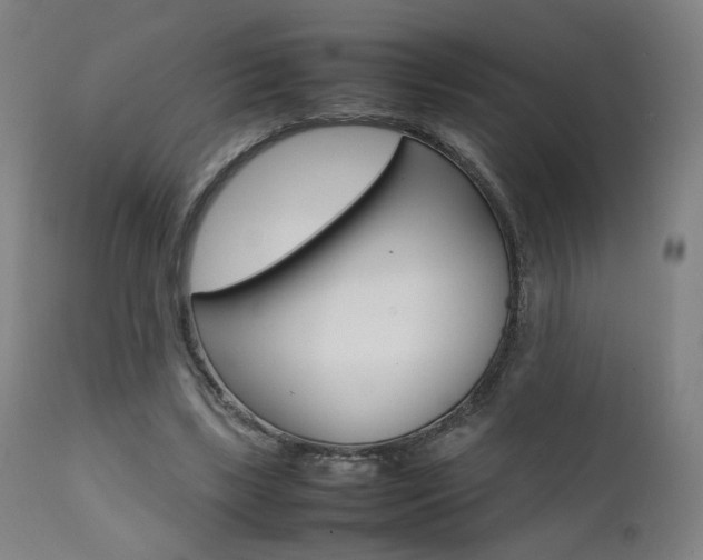 X0000112090443200908041052