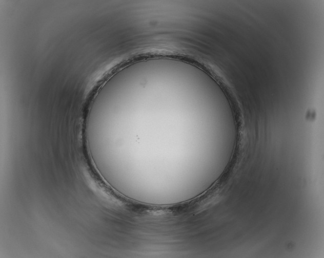 X0000112090446200908041052