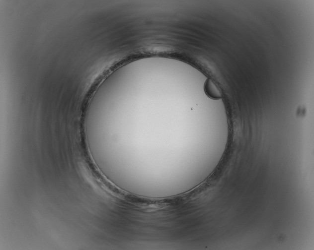 X0000112090447200908041052