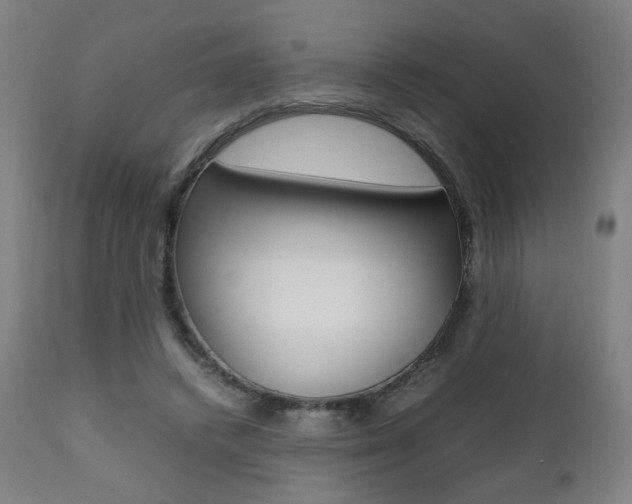 X0000112090448200908041052