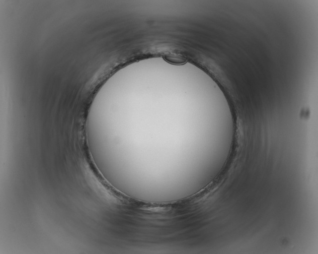 X0000112090449200908041052