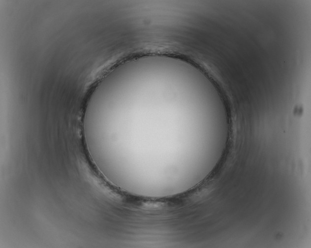 X0000112090450200908041052