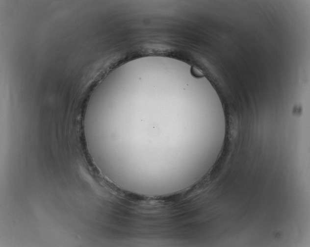 X0000112090451200908041052