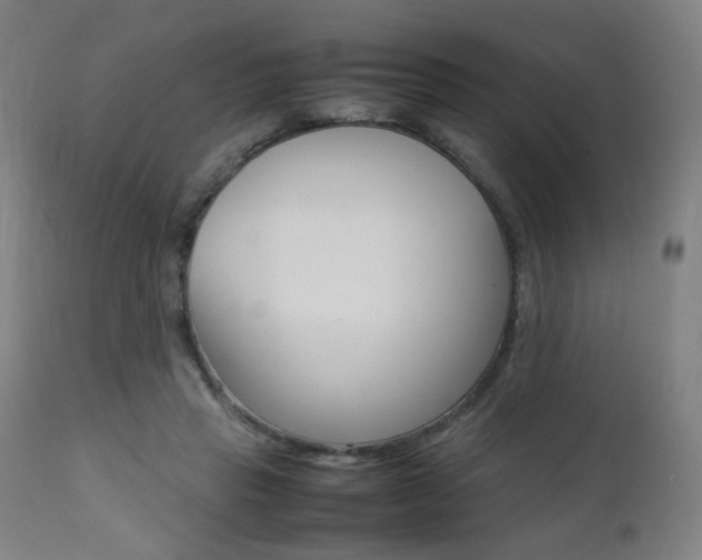 X0000112090453200908041052