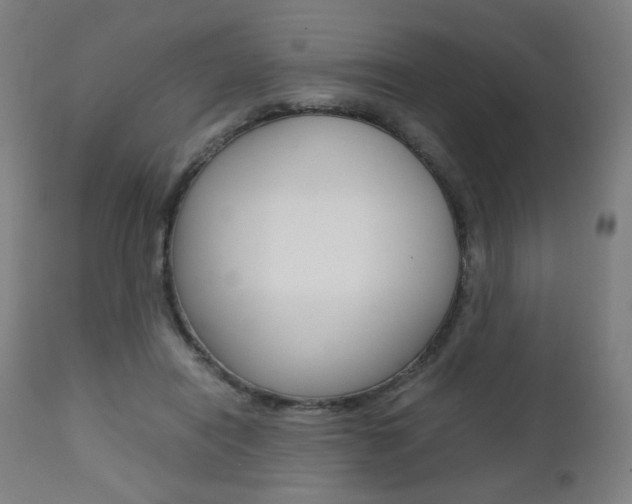 X0000112090454200908041052