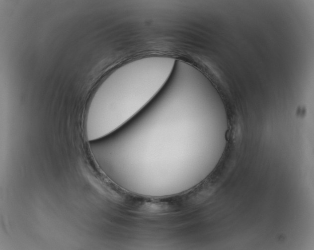 X0000112090455200908041052