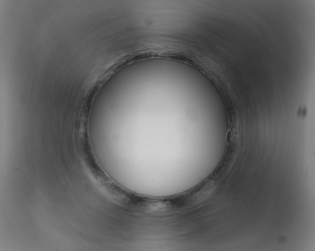 X0000112090456200908041052