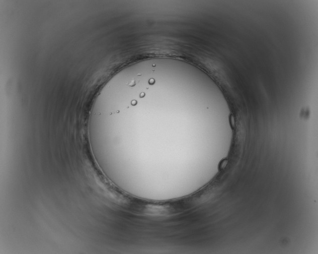 X0000112090457200908041052