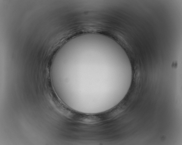 X0000112090459200908041052