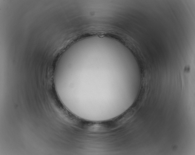 X0000112090460200908041052
