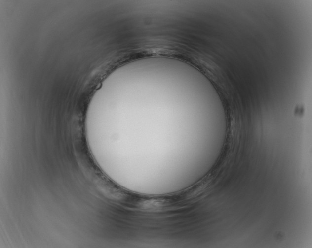 X0000112090461200908041052