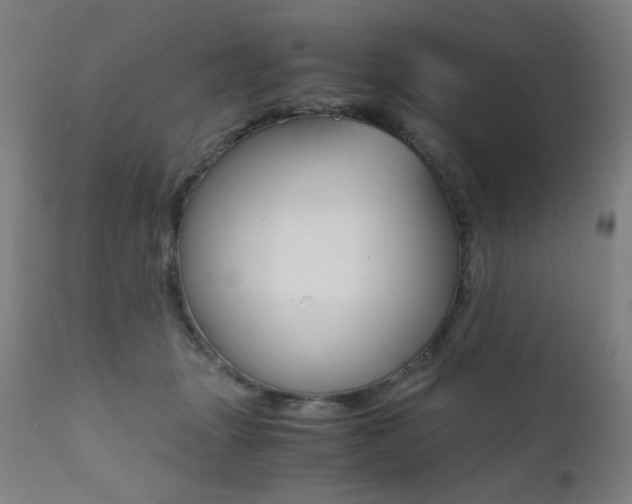 X0000112090463200908041052