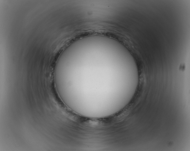 X0000112090464200908041052