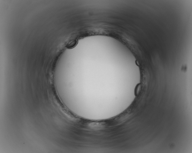X0000112090465200908041052