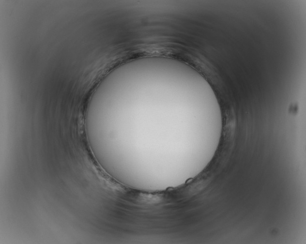 X0000112090469200908041052
