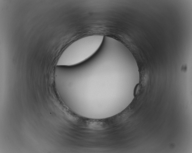 X0000112090471200908041052