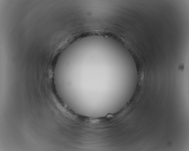 X0000112090472200908041052