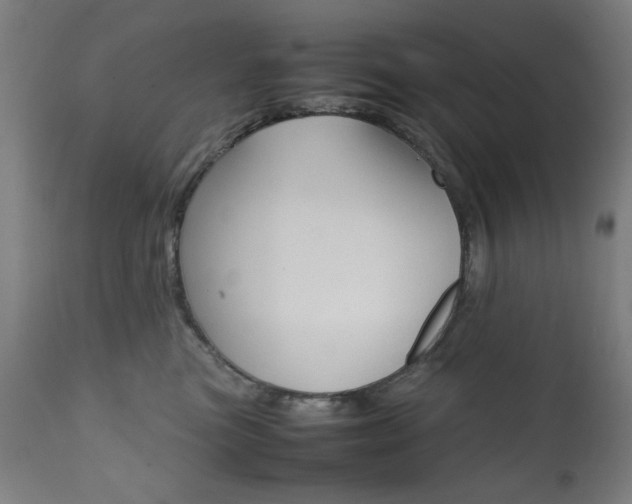 X0000112090473200908041052