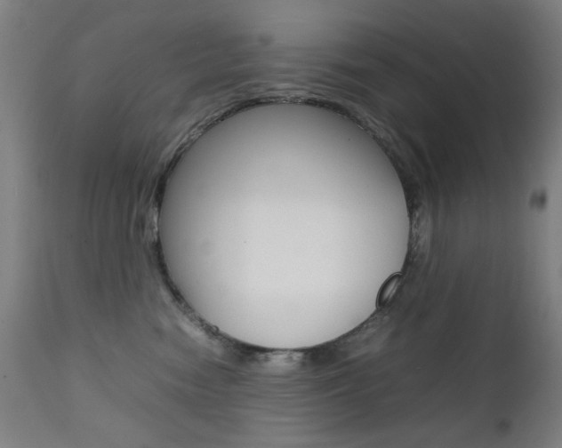 X0000112090474200908041052