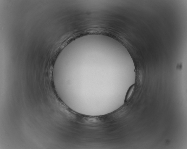 X0000112090475200908041052