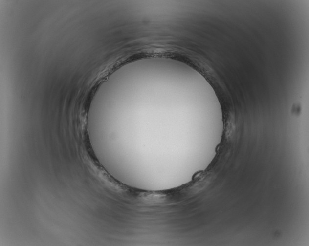 X0000112090476200908041052