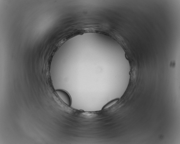 X0000112090477200908041052