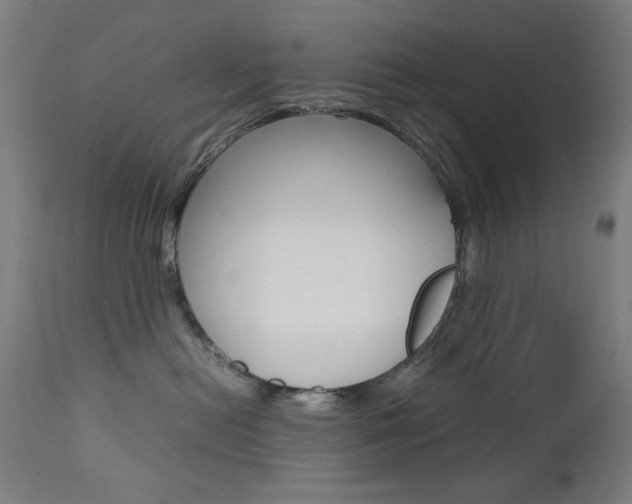X0000112090478200908041052