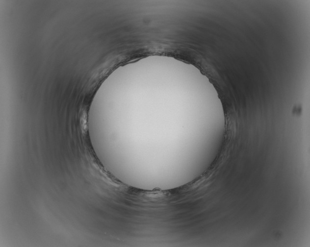 X0000112090479200908041052